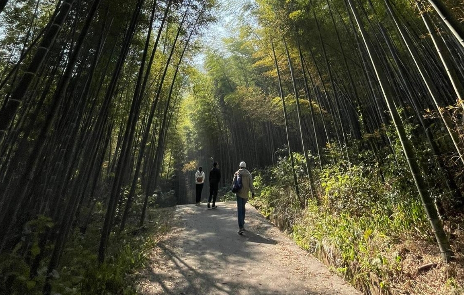 长沙周边旅游景点：望城区乌山森林公园好玩吗？